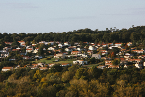 Traitement punaises de lit Villeparisis
